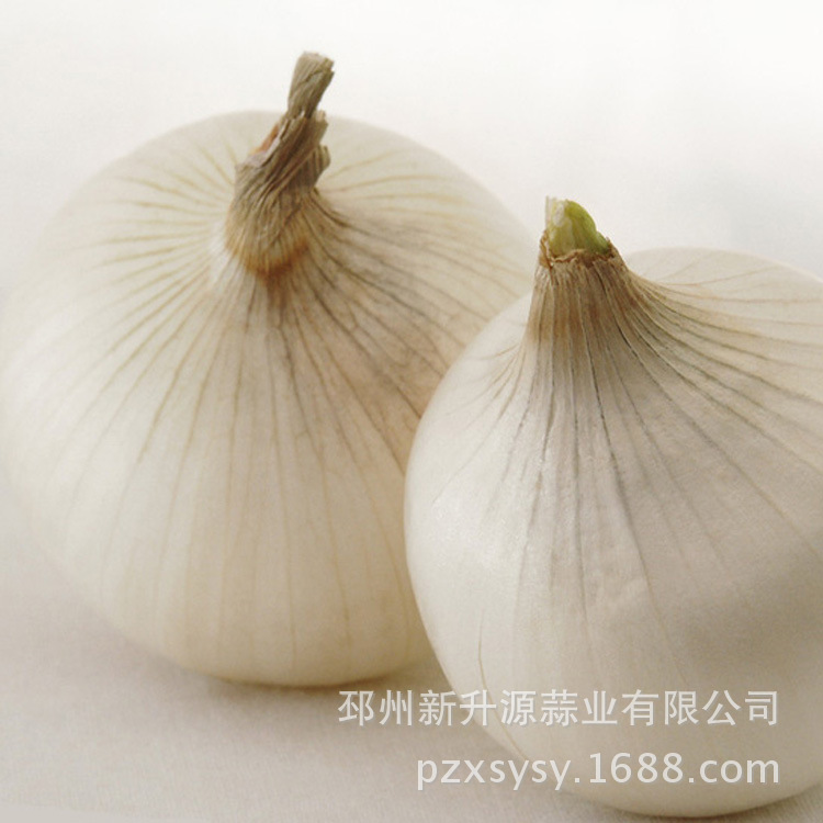 大蒜-有收购圆葱大蒜的客户吗 有联系我--阿里