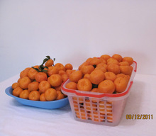 【江西橘子】江西橘子价格\/图片_江西橘子批发