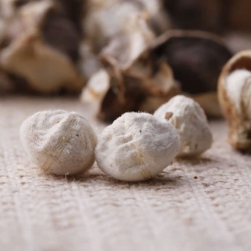 辣木籽的副作用图片,辣木籽的副作用图片大全