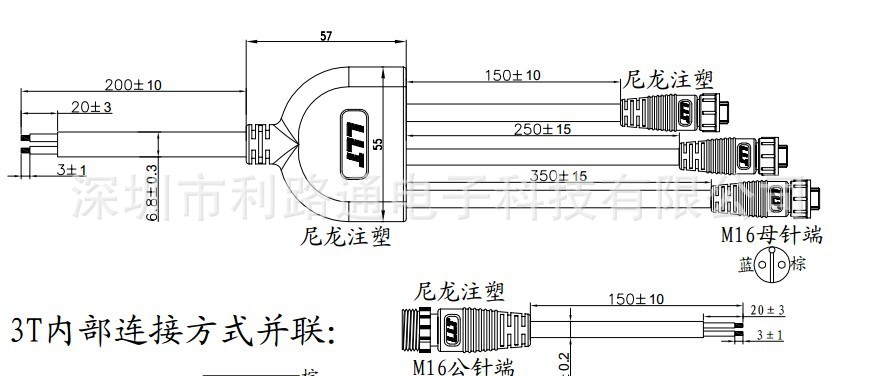 Y型圖