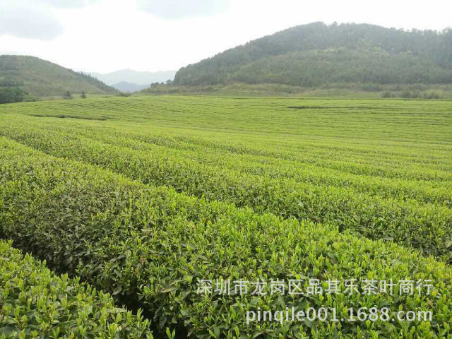 mmexport1399364108437