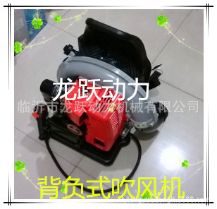 650型吹风机10