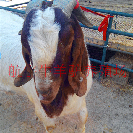 IMG_20140317_103746_副本