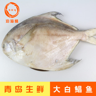 Ұʴ 䶳 ʻƽ  500g