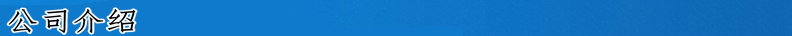 公司介绍