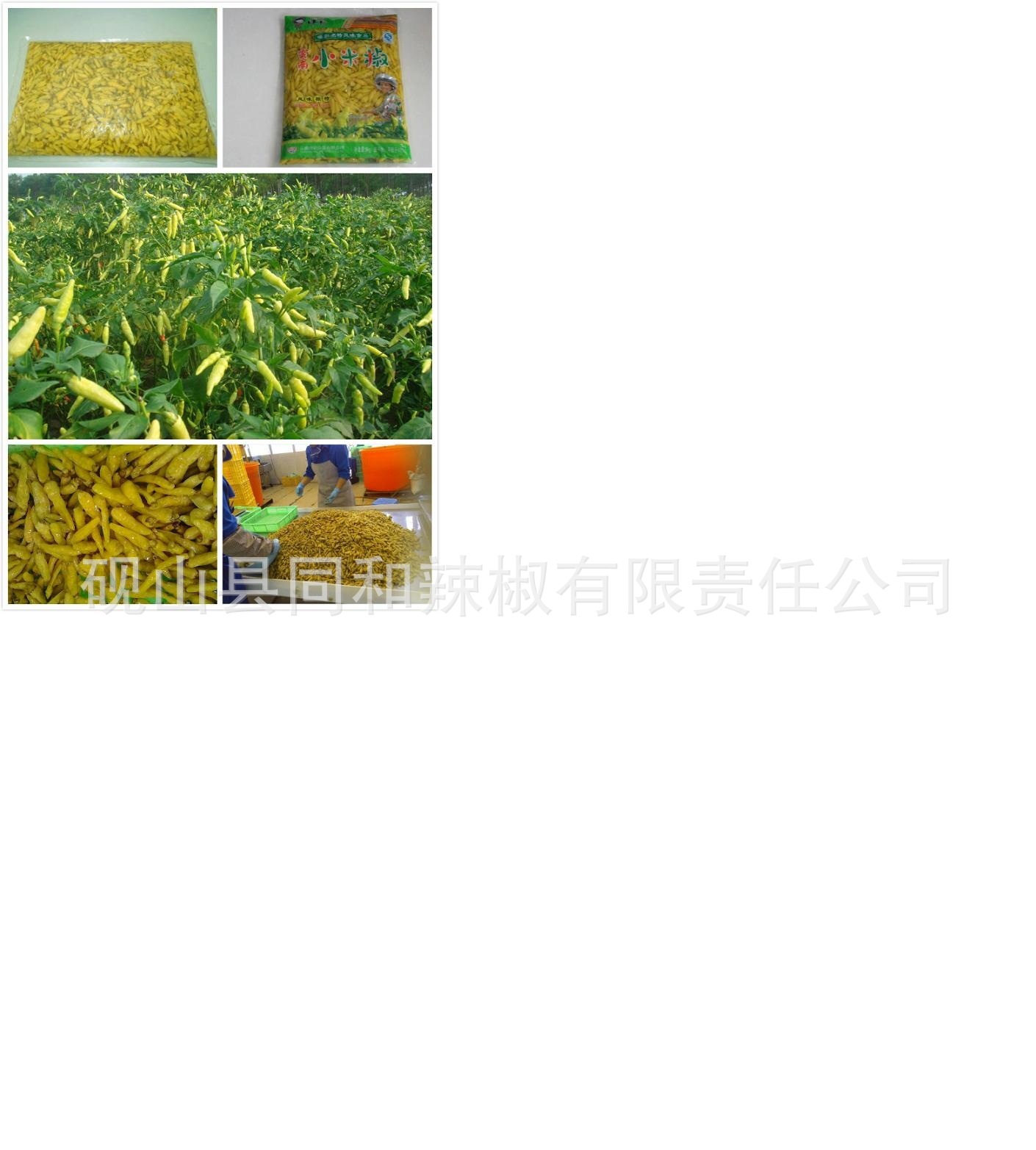 新上市云南小米椒,-泡小米椒厂家供应新上市泡小米椒