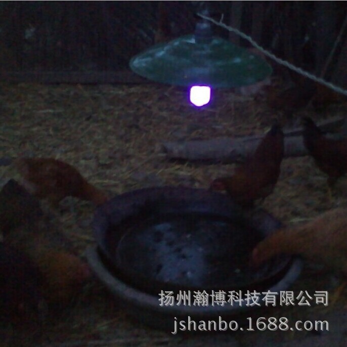 适用-喂鸡灯