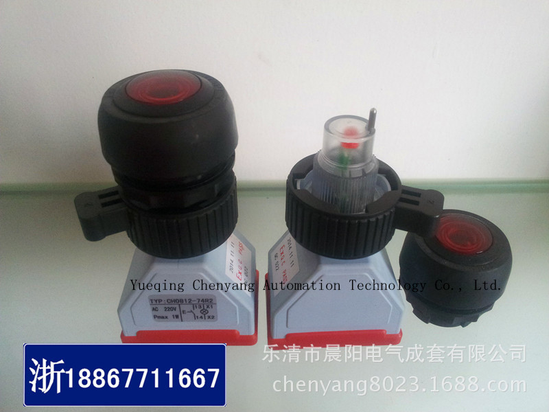 防爆带灯按钮 防爆防腐急停自锁按钮