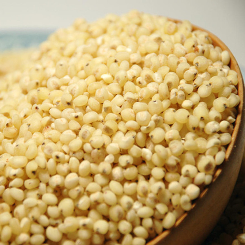 1337841641onSuTUrF_副本_副本