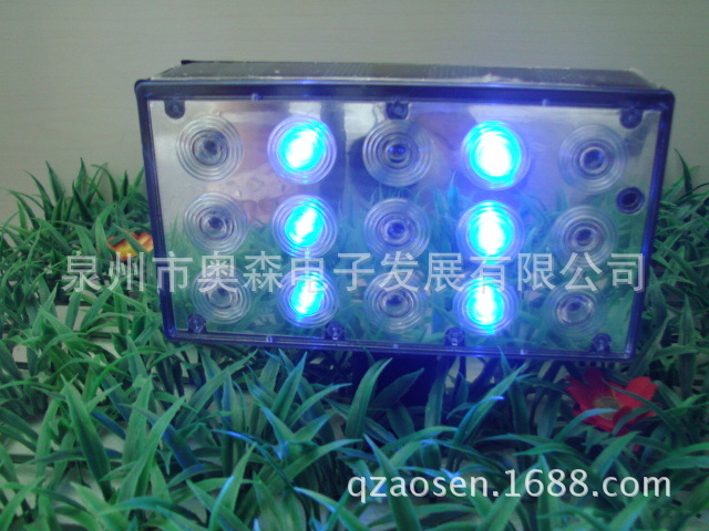 DSC00268
