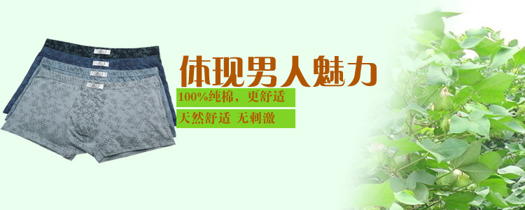 <em>男士内裤</em>-<em>浪莎男士内裤</em>100%全棉抗菌平角内裤