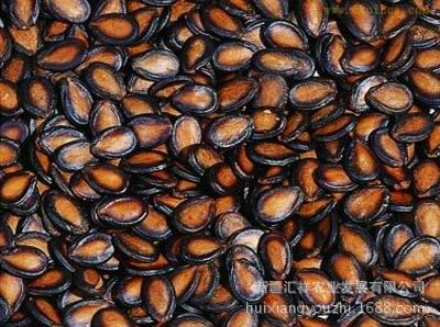 新疆黑打瓜子 板正粒大 厂家直供 价格优惠 图片