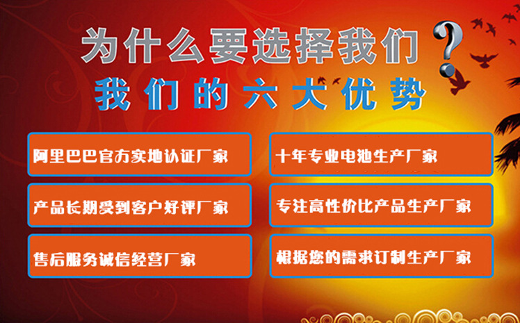 我们的六大优势