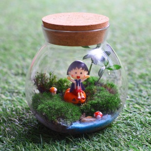 透明微景观玻璃瓶 苔藓瓶 多肉植物花瓶 软木塞密封罐茶叶罐