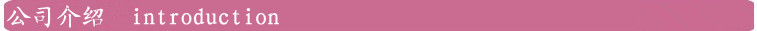 粉色-公司介绍