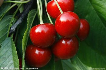 u=2106930484,2142398162&fm=23&