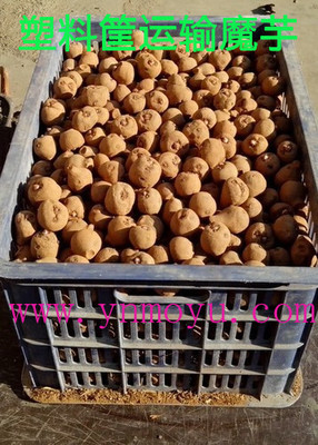 T1GjInFdFaXXXXXXXX_!!0-item_pi