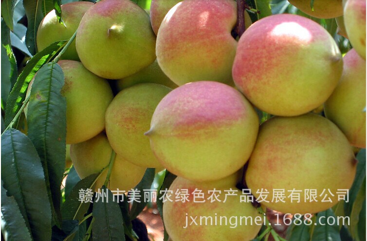 QQ图片20140703153539