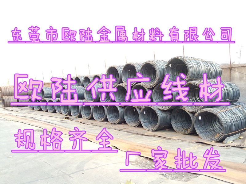 P41203-163024_副本