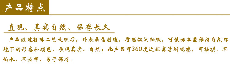 产品特点(只是特点)