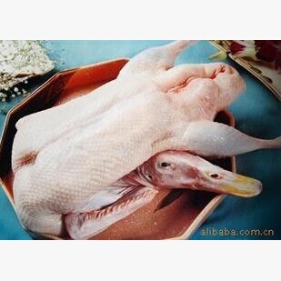 南京盐水鸭 生鸭胚 腌制过的鸭胚 酒店专用 直接煮 厂家直销