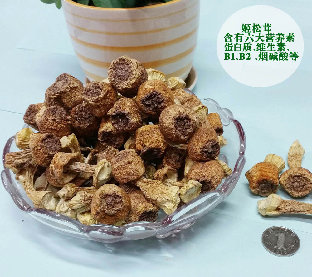 云南特产生菌姬松茸抗癌佳品美味山珍食用菌批发