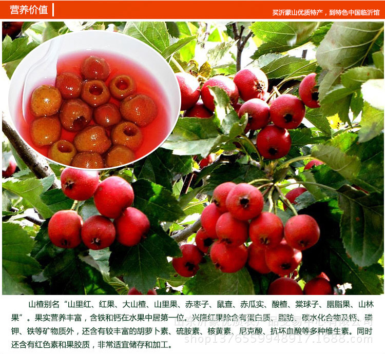 12蒙水山楂罐头_05