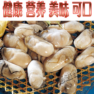 单冻牡蛎粒 半熟食单冻牡蛎肉 生蚝肉 健康美味