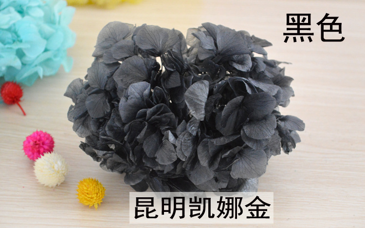 供应pk进口级大叶绣球永生花花材批发 高端生日礼物七夕情.
