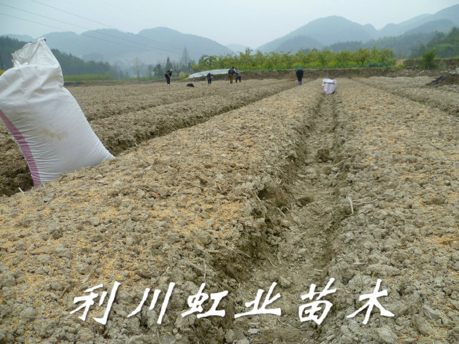 点击打开原图 undefined