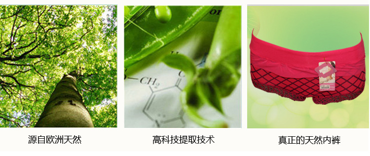 厂家直销女士<em>莫代尔棉内裤</em>头<em>批发</em> 不缩水新款