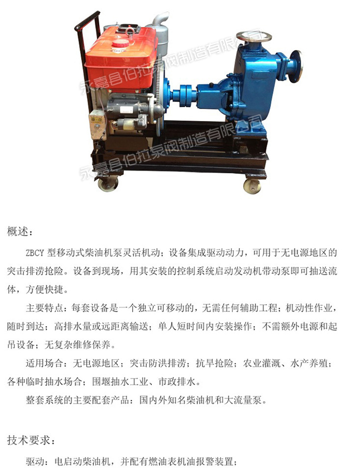 2ZBCY型移動式柴油機泵 (2)