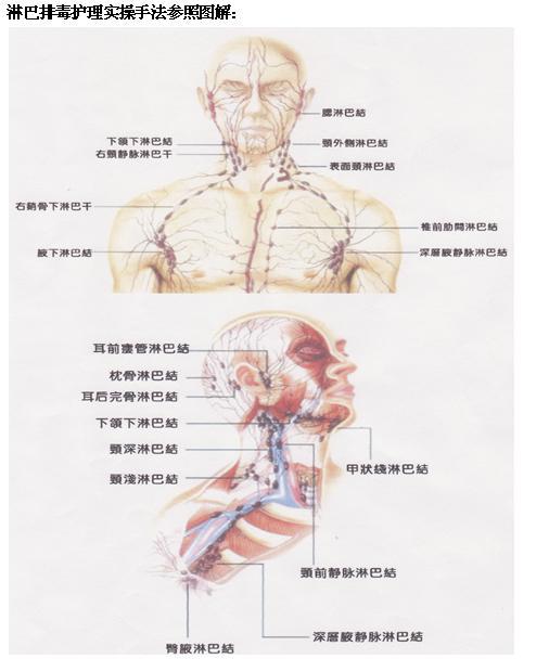 淋巴排毒护理实操手法