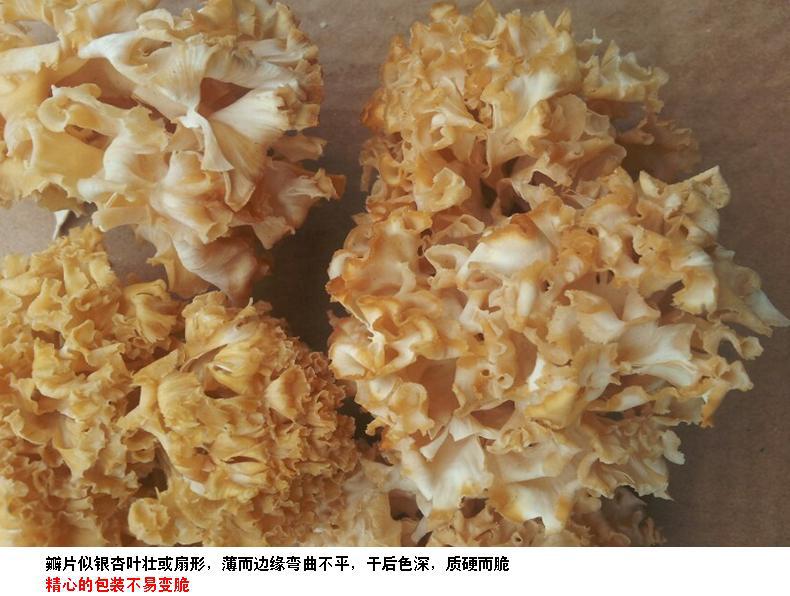 荷仙菇干货绣球菌批发花瓣茸正品花椰菜菇