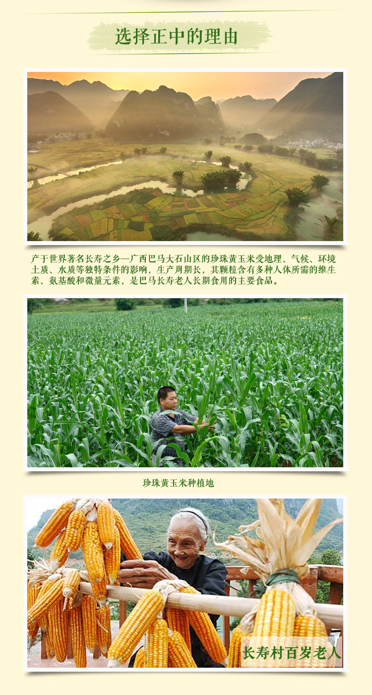 巴马特产 休闲食品 正中巴马玉米酥 非油炸玉米锅巴 无糖食品批发