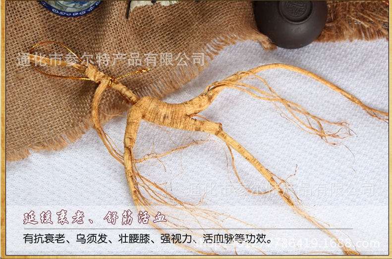 植物原药材-东北长白山人参 野山参 16年以上山