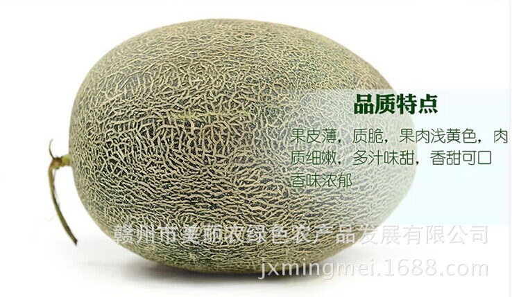 QQ图片20140627161737