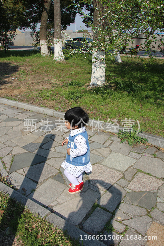 照片 023