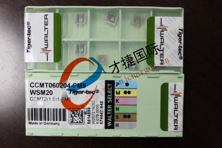 CCMT060204-PM5 WSM20(1)