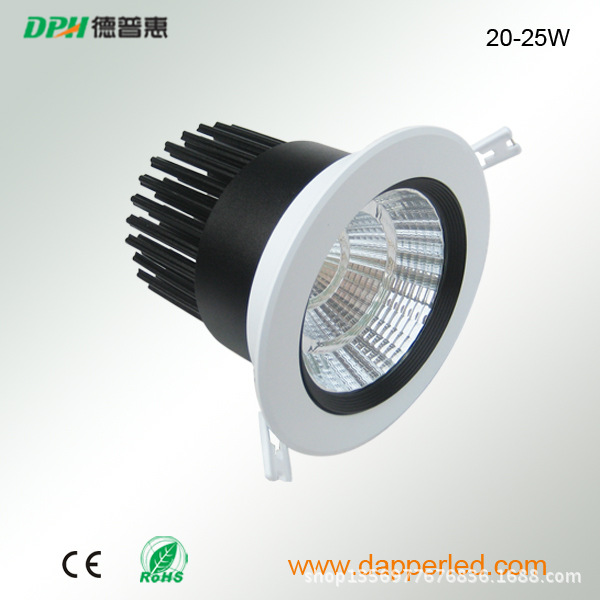 20-25WCOB天花灯1