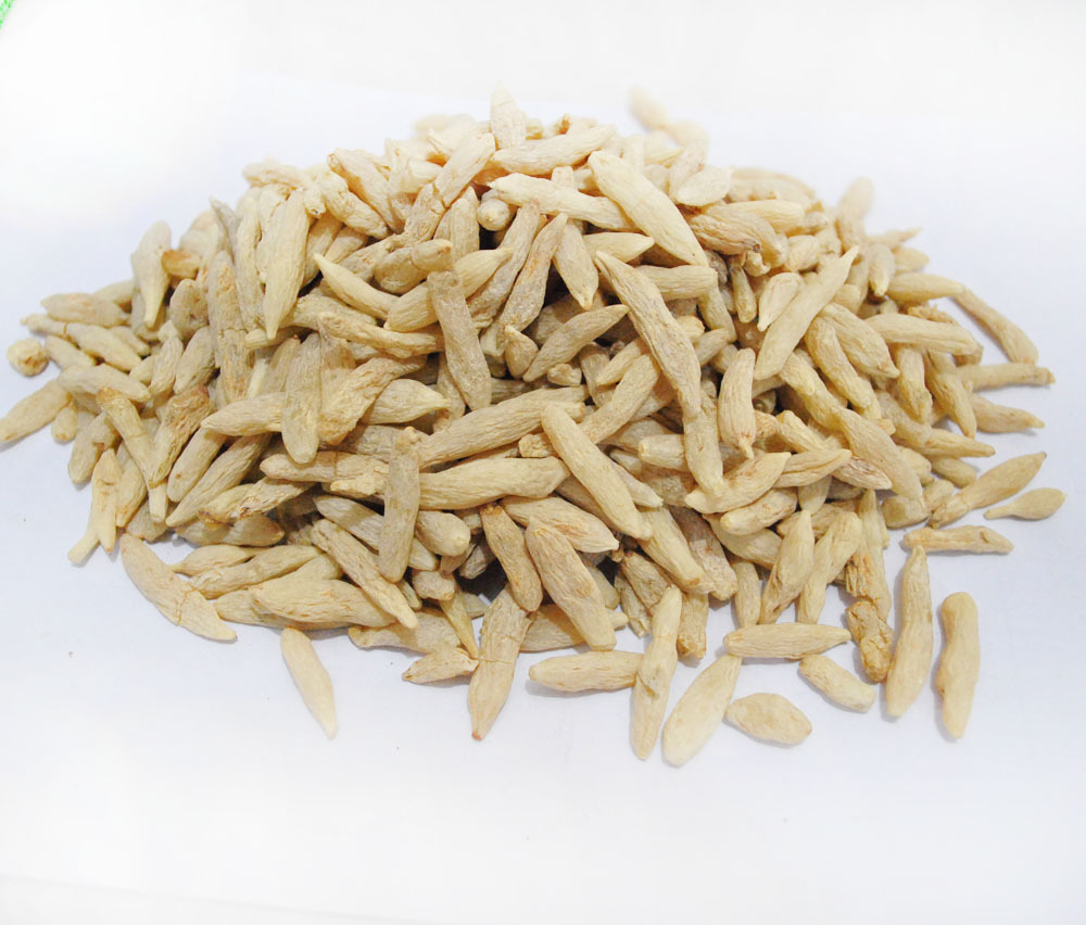 批发食用药材植物中药材麦冬寸冬 滋阴生津、