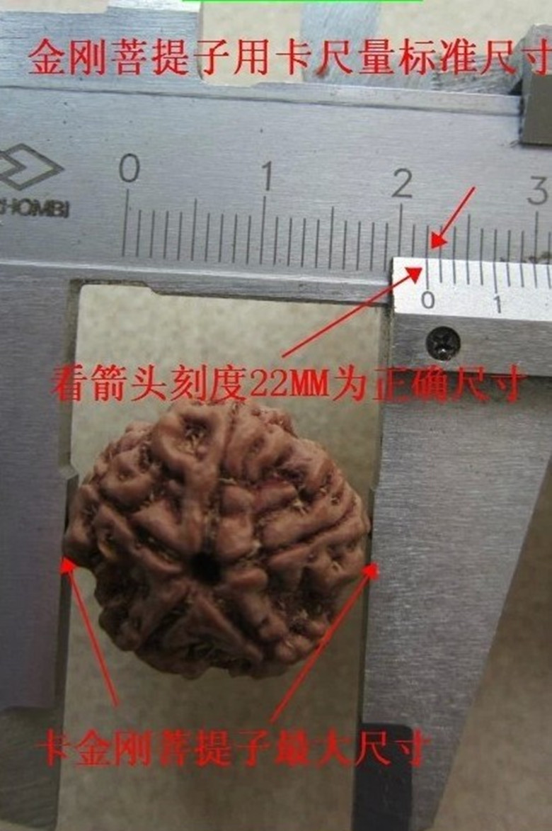 4ef11b8a9a3ea7167bfac2df8a14cc