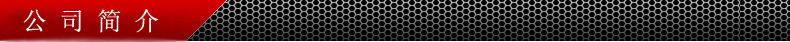 公司简�? height=