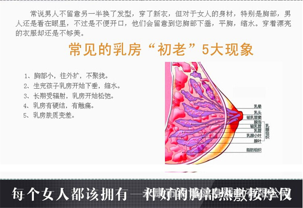 美胸寶