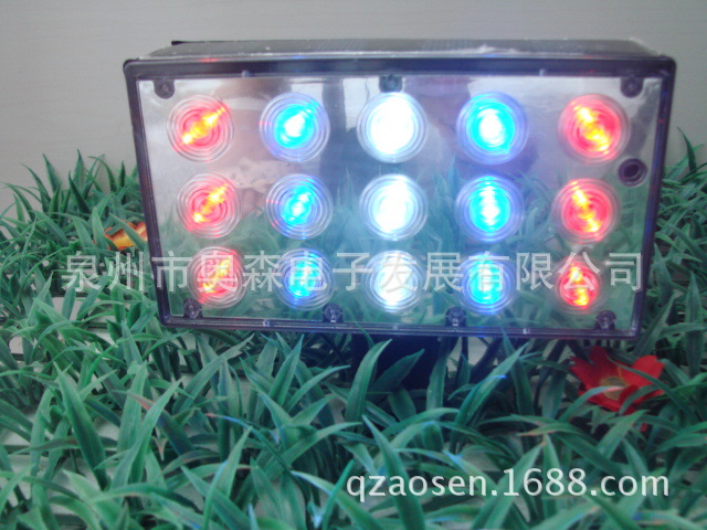 DSC00270