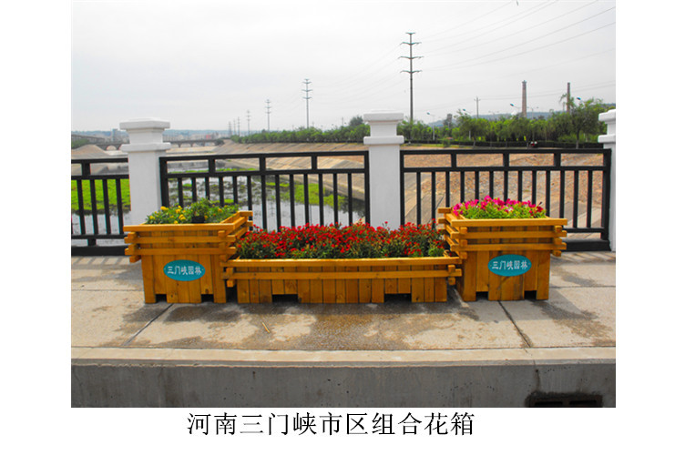三门峡花箱业绩