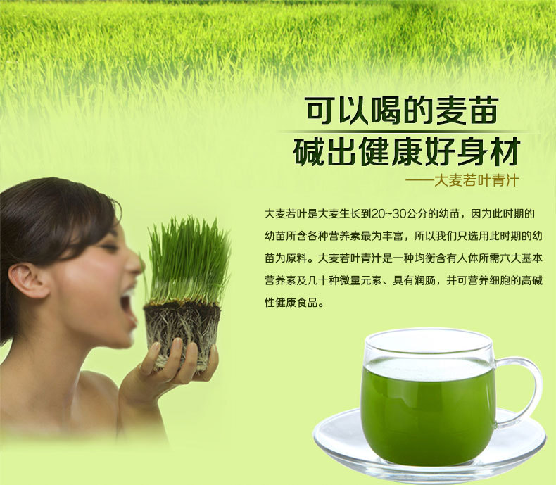【康益达大麦若叶青汁120克 有机青汁 强碱性