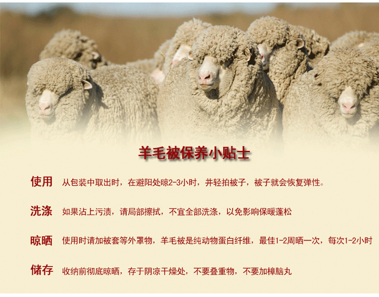 暖绒羊毛被芯(1)_07