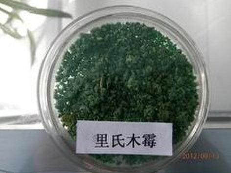 里氏木霉|木霉菌|饲料肥料发酵菌|绿色木霉 图片