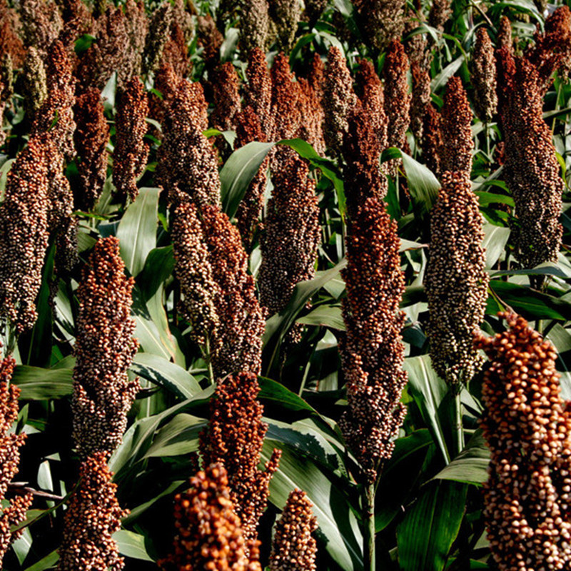 3%28180%29_副本_副本